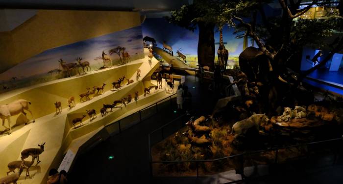 主題博物館設(shè)計